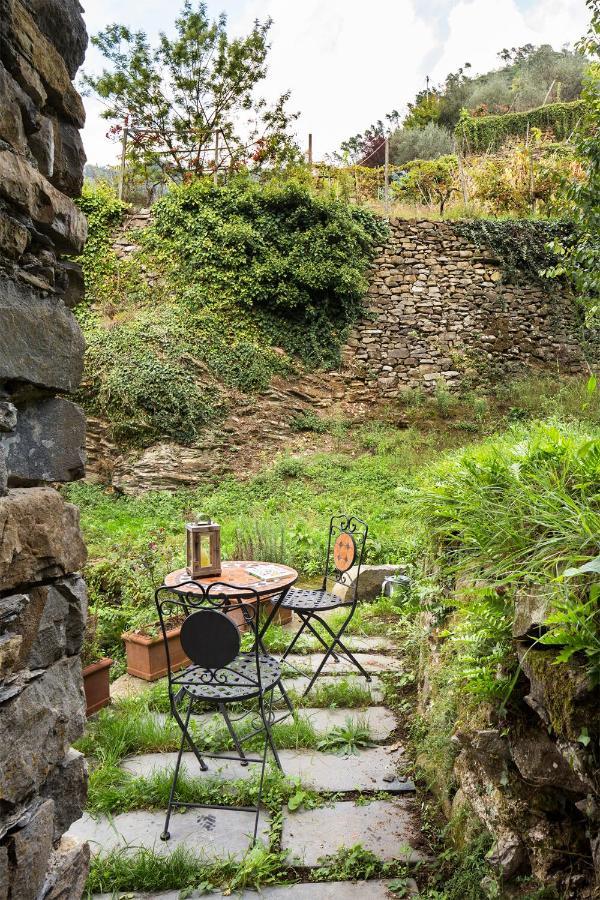 Agriturismo L'Adagio Badalucco Eksteriør billede